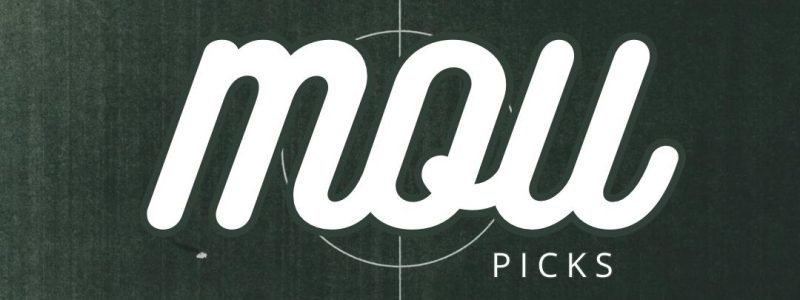 Logo - MouPicks